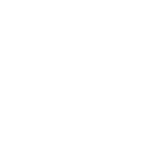 هولدینگ خودرویی